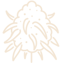 Cannabis ícones criados por Victoruler - Flaticon