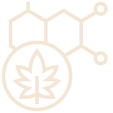 Cannabis ícones criados por Eucalyp - Flaticon