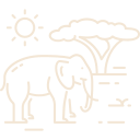 Safári ícones criados por istar_design_bureau - Flaticon